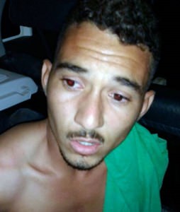 0fec0e06e2793757635a3c2919b95002