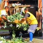 desperdicio de alimentos