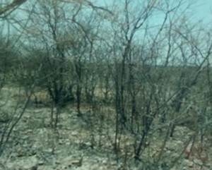 26dabf51-dd16-5fdf-82e3-1cc879064ae2