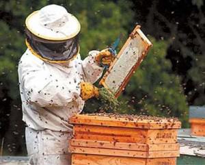 1c563ff1-35c5-5b2e-a3dd-09976a88709e