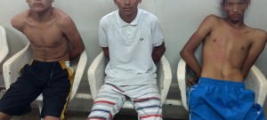 4422b591-9b75-4c75-ab76-ddb7a13d68f5-2