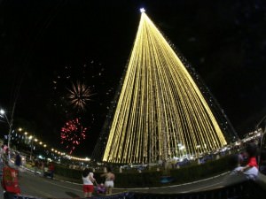arvore de natal 2016