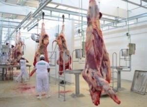 75c6ad5c084a19105e5b23ef9f45c5b1