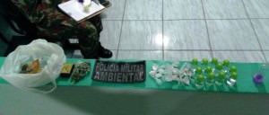 Drogas-foram-apreendidas-na-Ilha-de-SantAna-Foto-Cipam-696x392