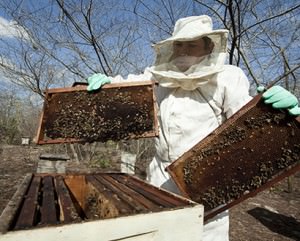 10401777-0f67-55da-bb4c-fb42c523b494