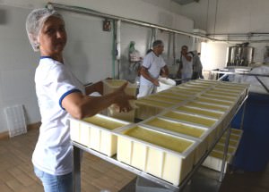 Queij Jard Ser 02.02.17 (63)