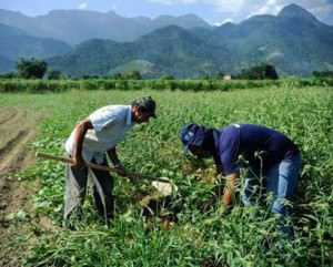 c34e8afa-3b2e-513c-afee-ee73101b9107