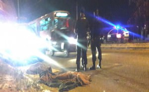 Adolescentes Mosquito