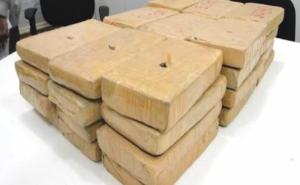 40 quilos de maconha