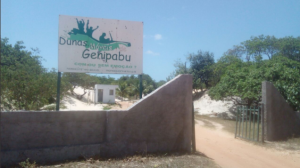 geni-cortada