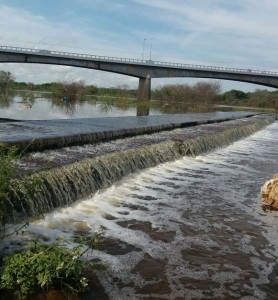 38e7709d-b44c-4ff7-8f1b-463edb028897