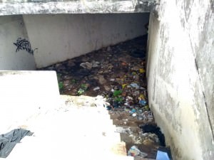 tunel zona norte