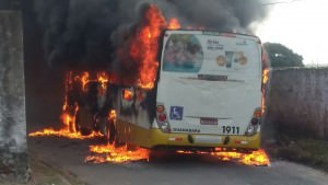onibus2