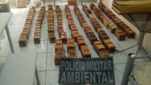 POLÍCIA AMBIENTAL