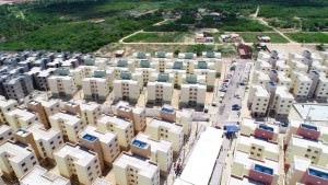 NATAL