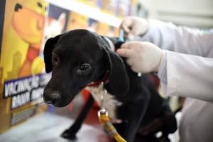 28925563353-06f4926bba-k