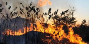 queimada-brasilia-valter-agencia-brasil