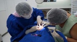 WhatsApp-Image-2019-10-21-at-11.38.21-AM-730x400