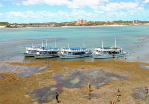 big_290120140209560b7a1e9cf657777069ac465b1ce706f5-572x400