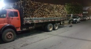 motorista-caminhao-preso-madeira-ilegal-embriaguez-ao-volante-730x400