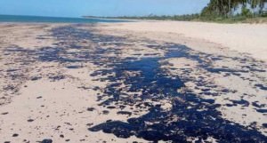 oleo-manchas-praias-de-salvador-bahia-730x391