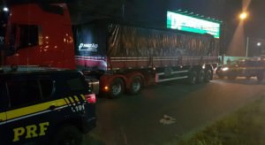 prf-prende-caminhoneiro-carga-madeira-ilegal-br-101-2-730x400
