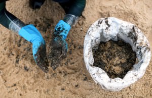 2019-10-31t132025z-993200061-rc1821bba110-rtrmadp-3-brazil-oil-otc-environment