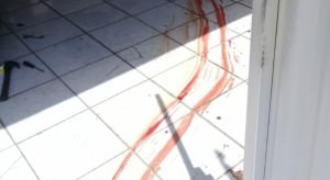 IMG-20191117-WA00202-730x400