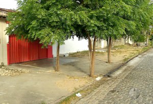 marcas-de-tiro