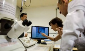 zzlaboratorio_pesquisa-670x400