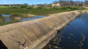 5428353c-a152-4409-89c4-cc9c274ec05f