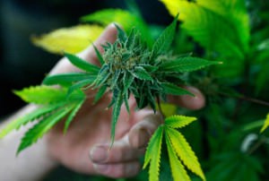 a1f7b36c98d7fb297ddb83269f9ede5e