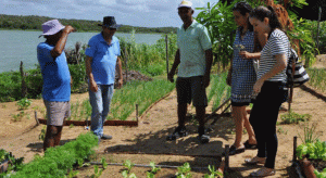 b23e0211080d12c90a59101e793aa73c-730x400