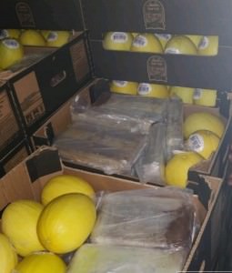 whatsapp-image-2019-12-07-at-13.06.16