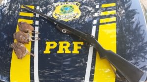 Arma-e-Nhambu-e1580235670859