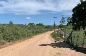 whatsapp-image-2020-02-14-at-13.28.49