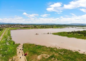 DOURADO - CURRAIS NOVOS