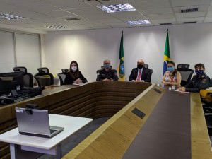 Reunião Violência Doméstica 3
