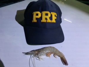 whatsapp-image-2020-06-10-at-12.02.07-2-