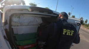 20200707-Camarão-800x445