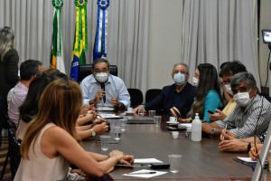 Reunião Comitê Científico_JOANA_LIMA (3)